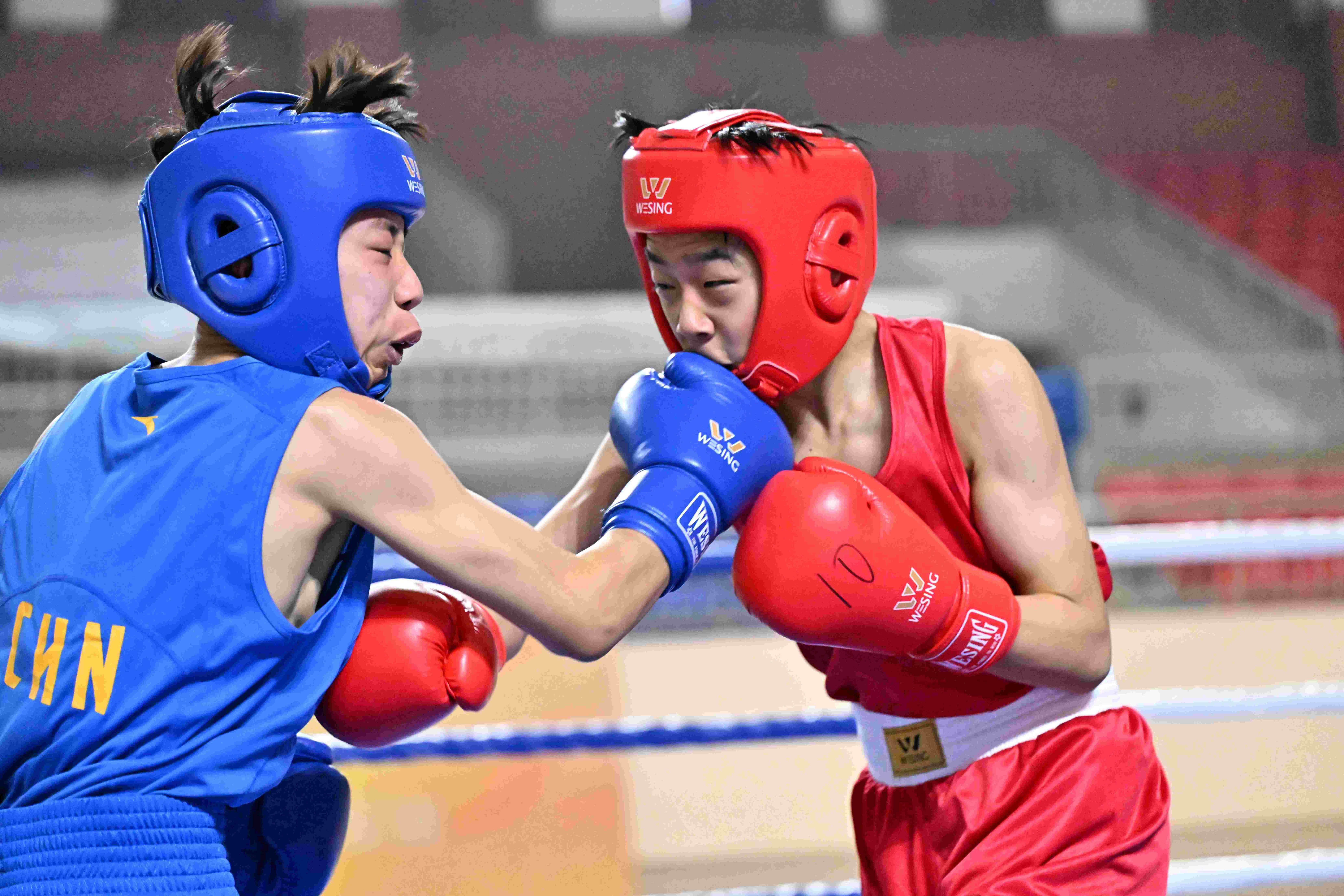 世界聚焦！拳击赛事全球收视创新高的简单介绍